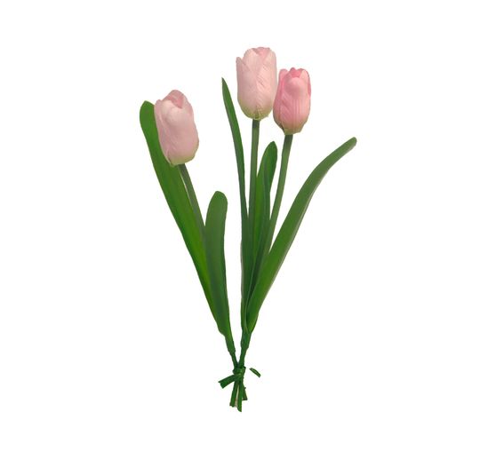 Tulip single stem