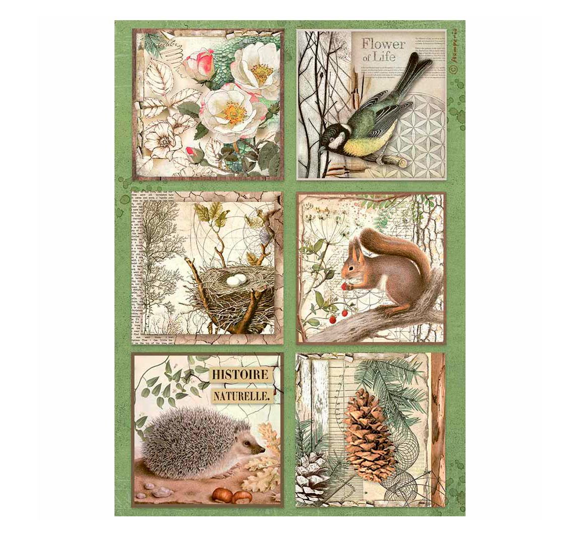 Motiv-Strohseide "Forest" - Cards