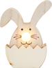 VBS Bunny with LED nose