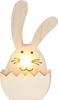 VBS Bunny with LED nose