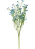 Acker-Witwenblume "Evergreen"