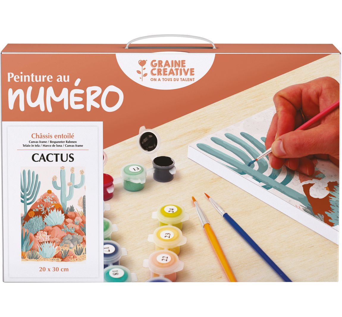 Graine Creative Malen Nach Zahlen, Keilrahmen - Cactus