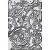 Sizzix A5 3D-Prägeschablone by Tim Holtz Entangled