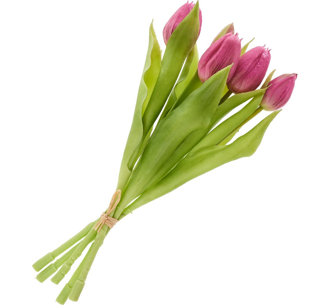 Tulpen-Bund mit 3 Blüten und 2 Knospen - Fuchsia