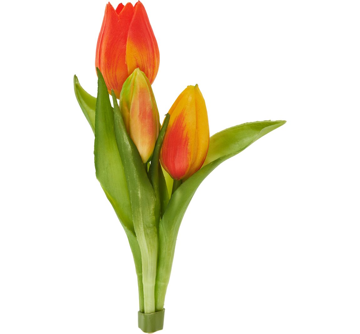 Tulpen-Bund "Sally" - Orange