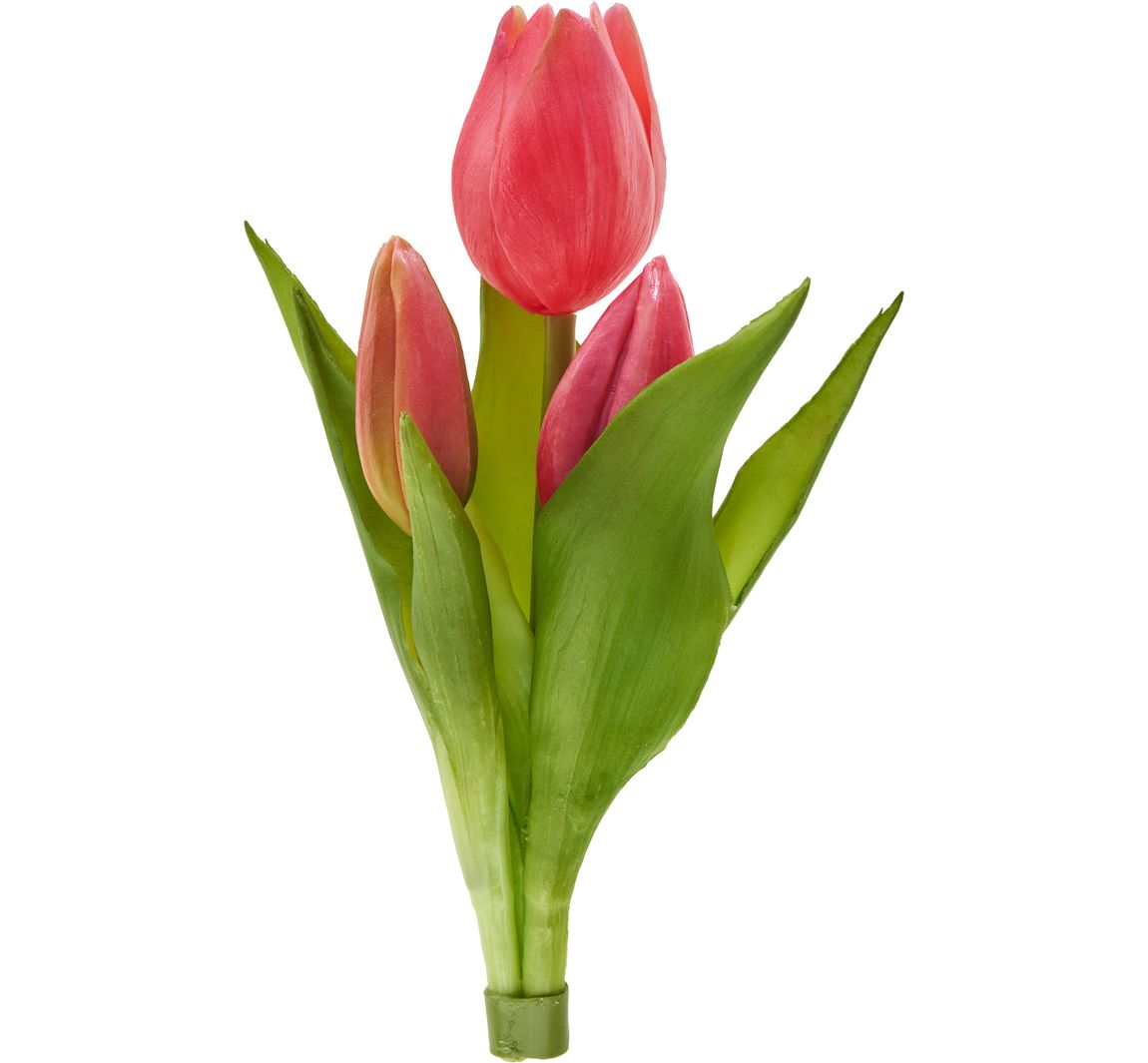 Tulpen-Bund "Sally" - Purple