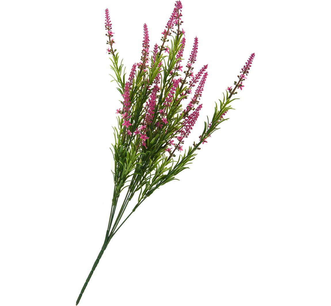 Veronica-Strauch - Pink