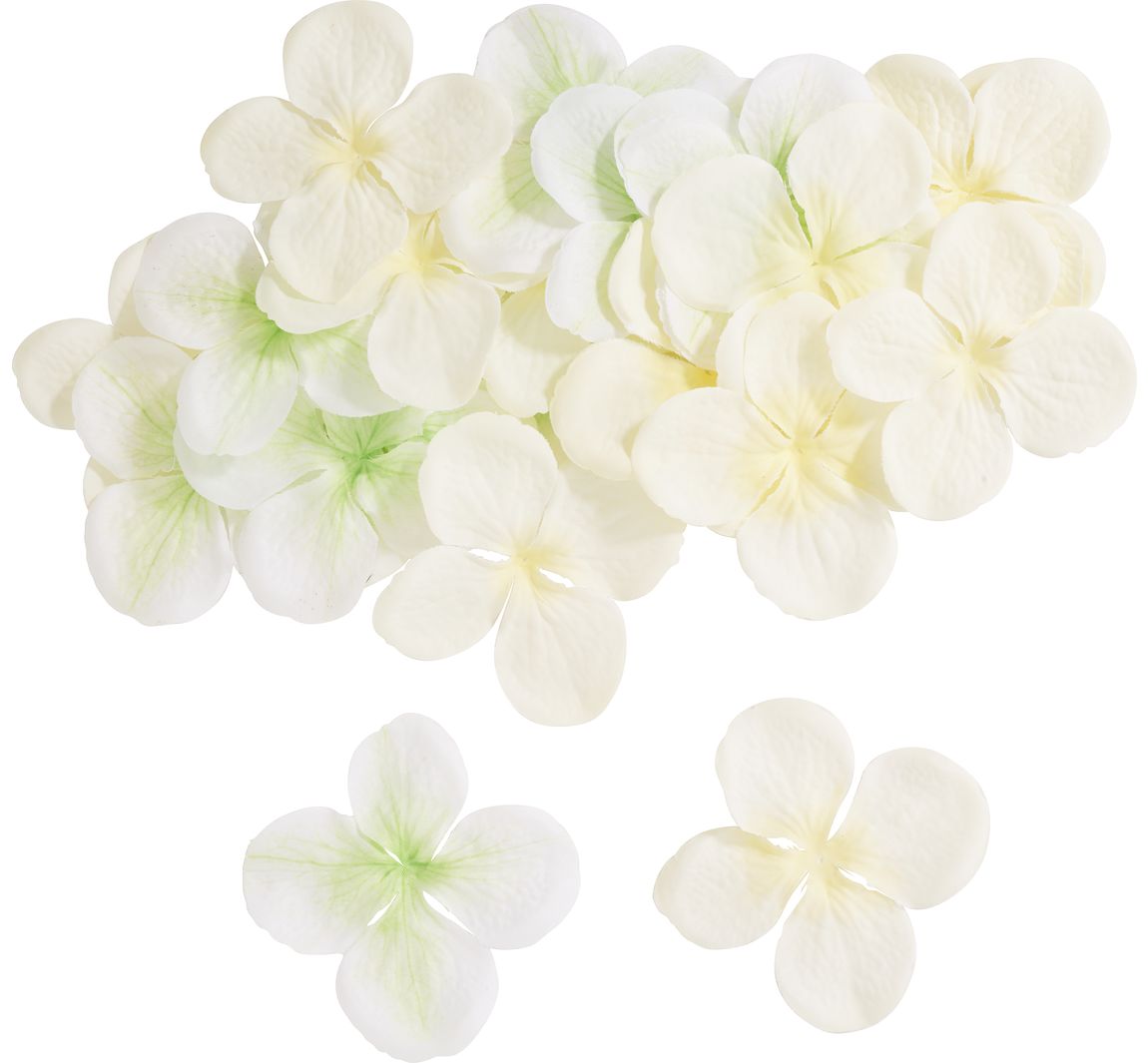 Hortensien-Blüten - Cream