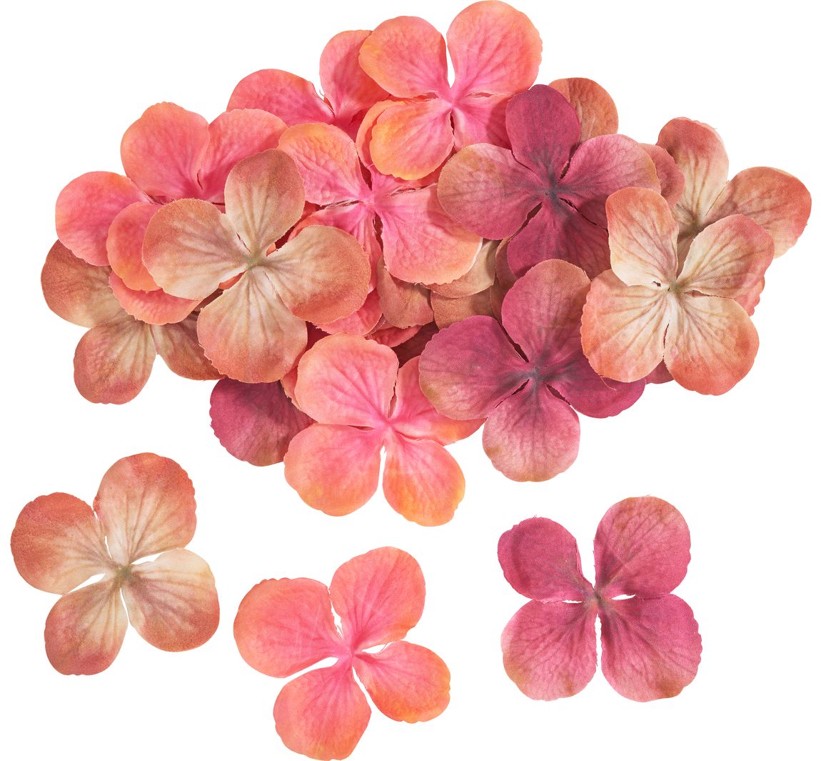 Hortensien-Blüten - Peach