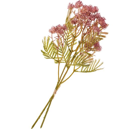 Inflorescence branch