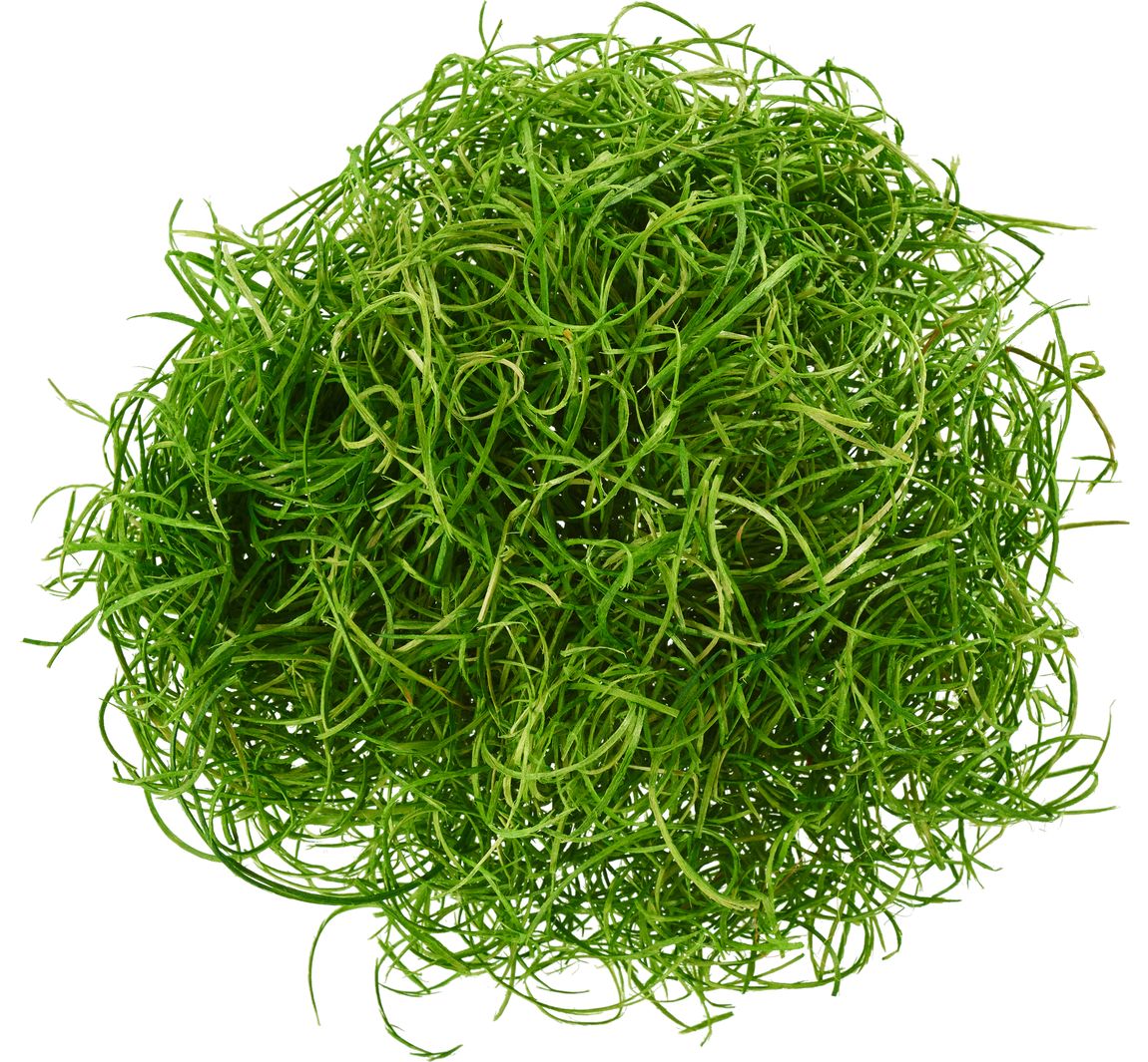 Holzwolle, 50 g - Grün