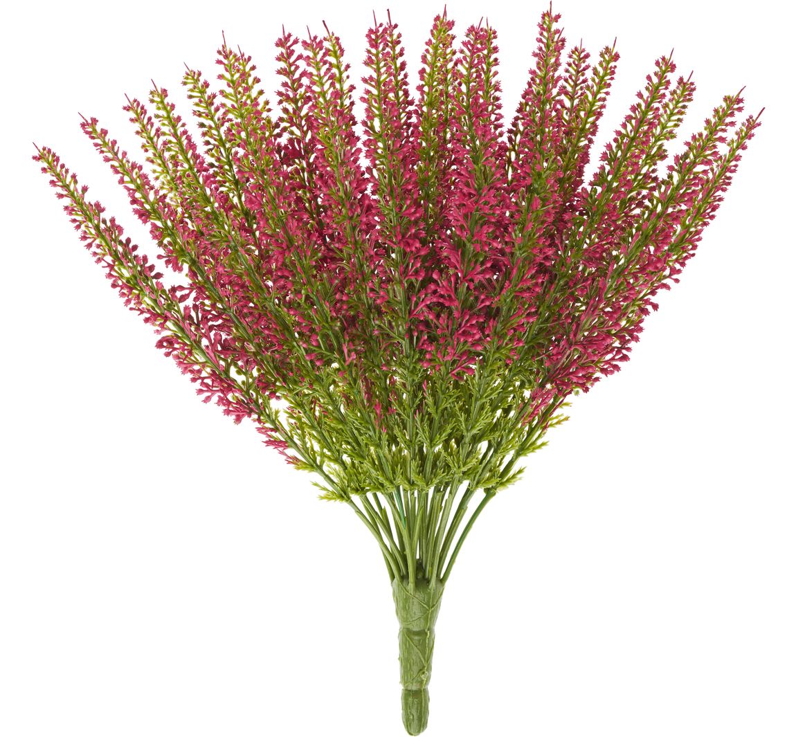 Erika, 24 Blütenstränge, L 26cm - Fuchsia