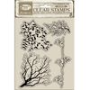 Clear Stamps "Herbarium Silvae" Tree Branches
