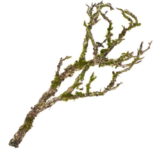 Deko-Ast