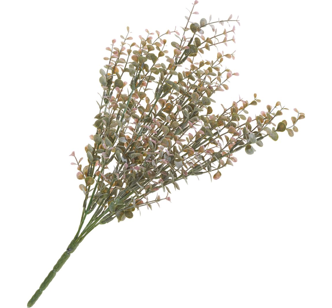 Eukalyptus-Busch - Dunkelgrün