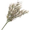 Eukalyptus-Busch Dunkelgr&uuml;n