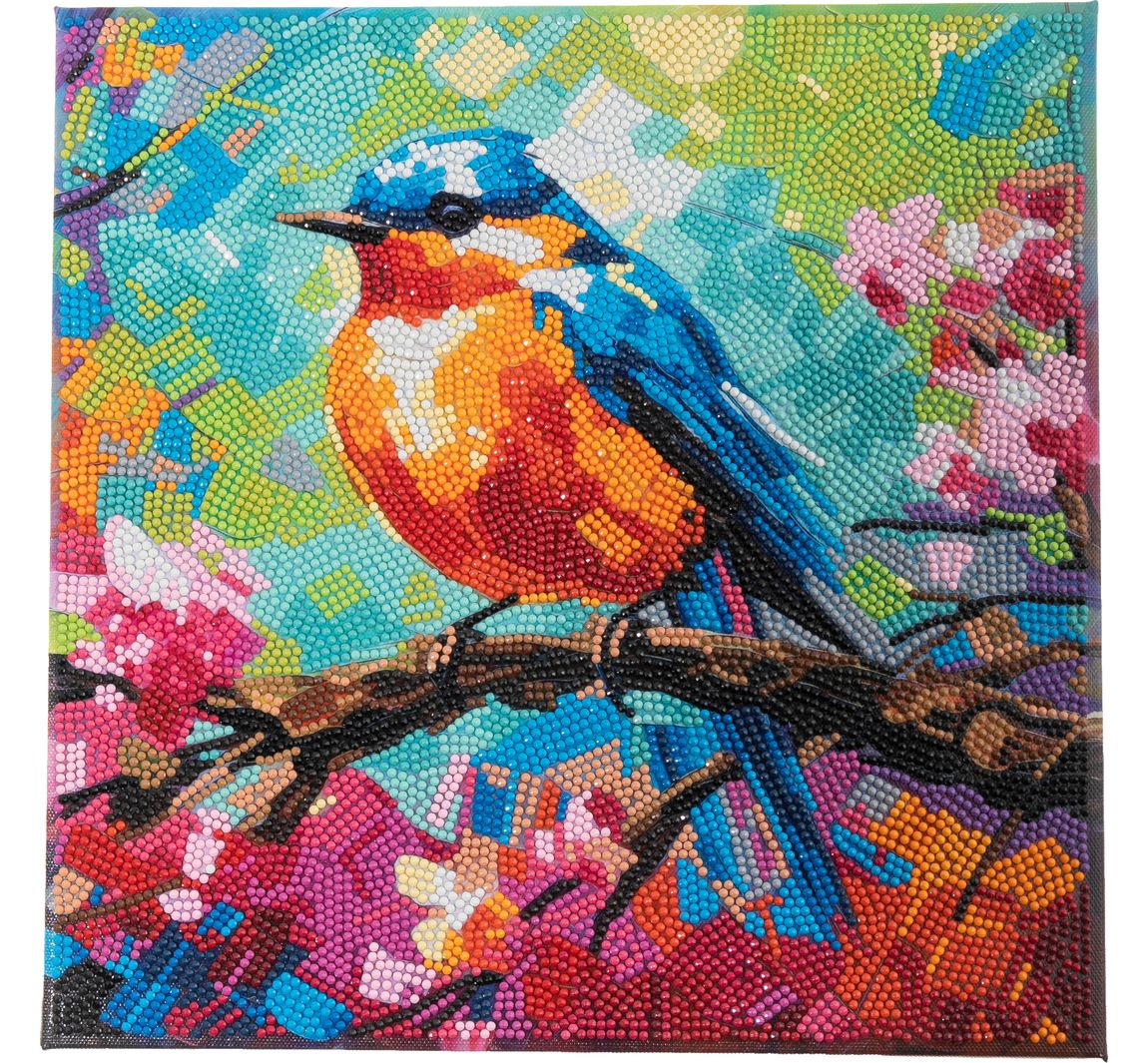 Diamond Painting "Crystal Art Kit", 30 x 30 cm - Robin