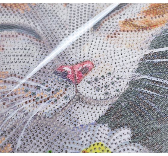 Diamond Painting "Crystal Art Kit", 30 x 30 cm