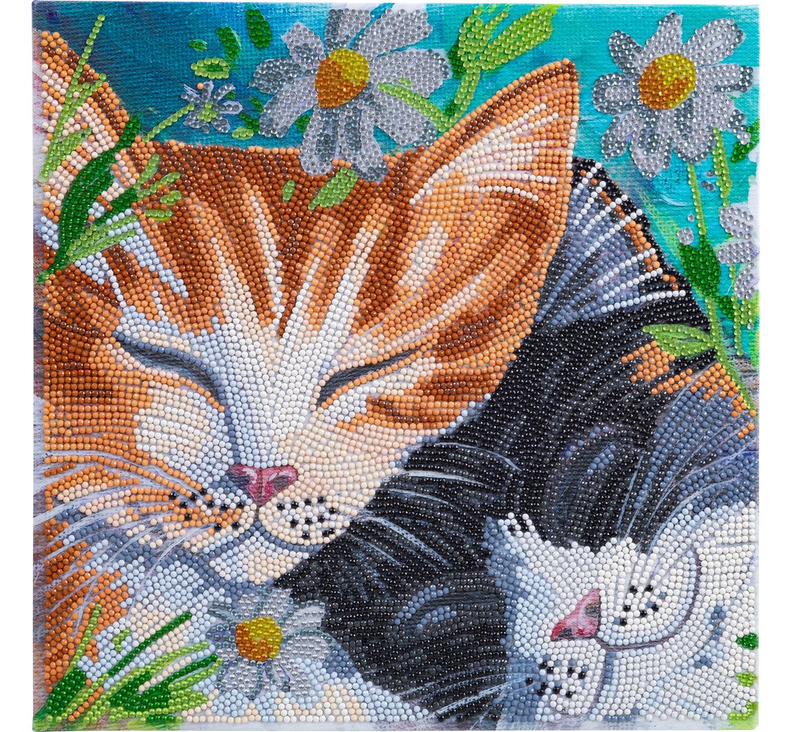 Diamond Painting "Crystal Art Kit", 30 x 30 cm - Sleepy Cats