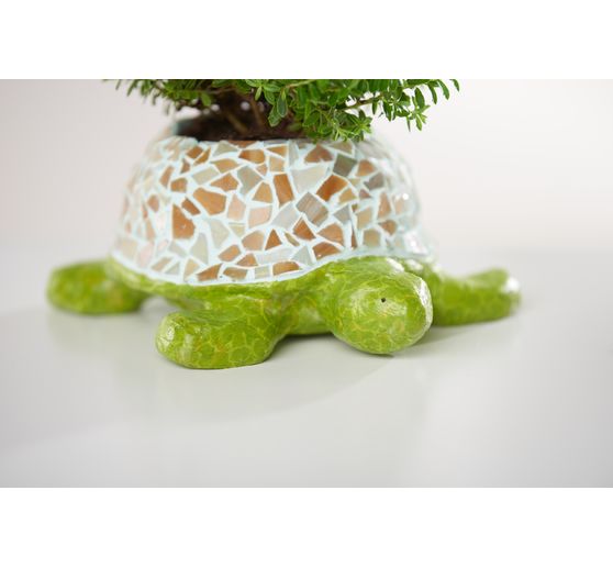 Blumentopf "Schildkröte", Pappmaché, wasserdicht