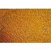 Crackle Mosaic Plate Gloss-Gold