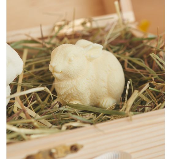 VBS Holztruhe, 19,5 x 11,5 x 9 cm