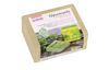 Glycerin Eco-Casting Soap "Olive Oil", Transparent