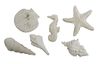 Gießform "Sea Shells"