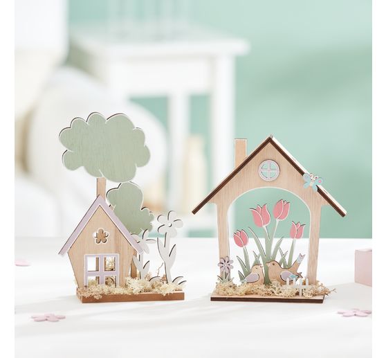 VBS Iceland moss, 100 g