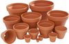 Terracotta pots