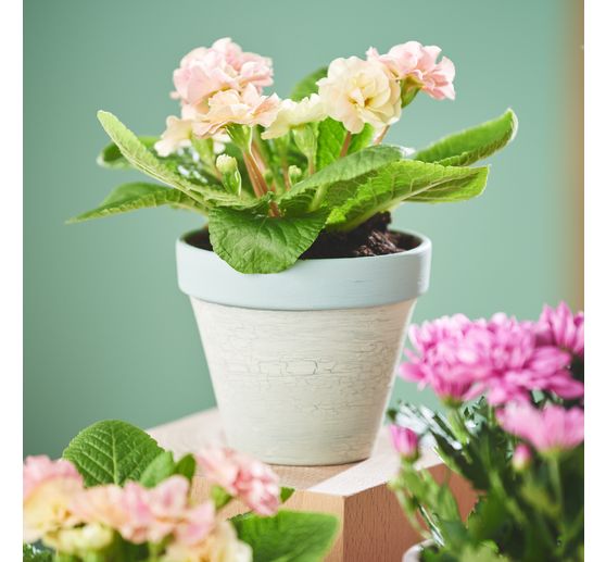 Terrakotta-T&ouml;pfe