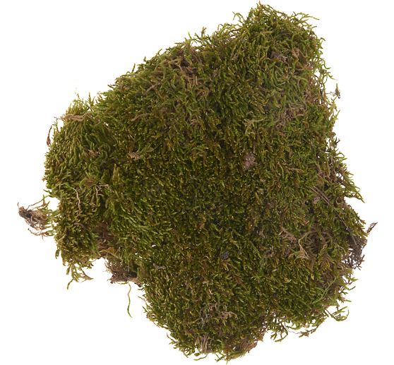 Plate moss, 50 g