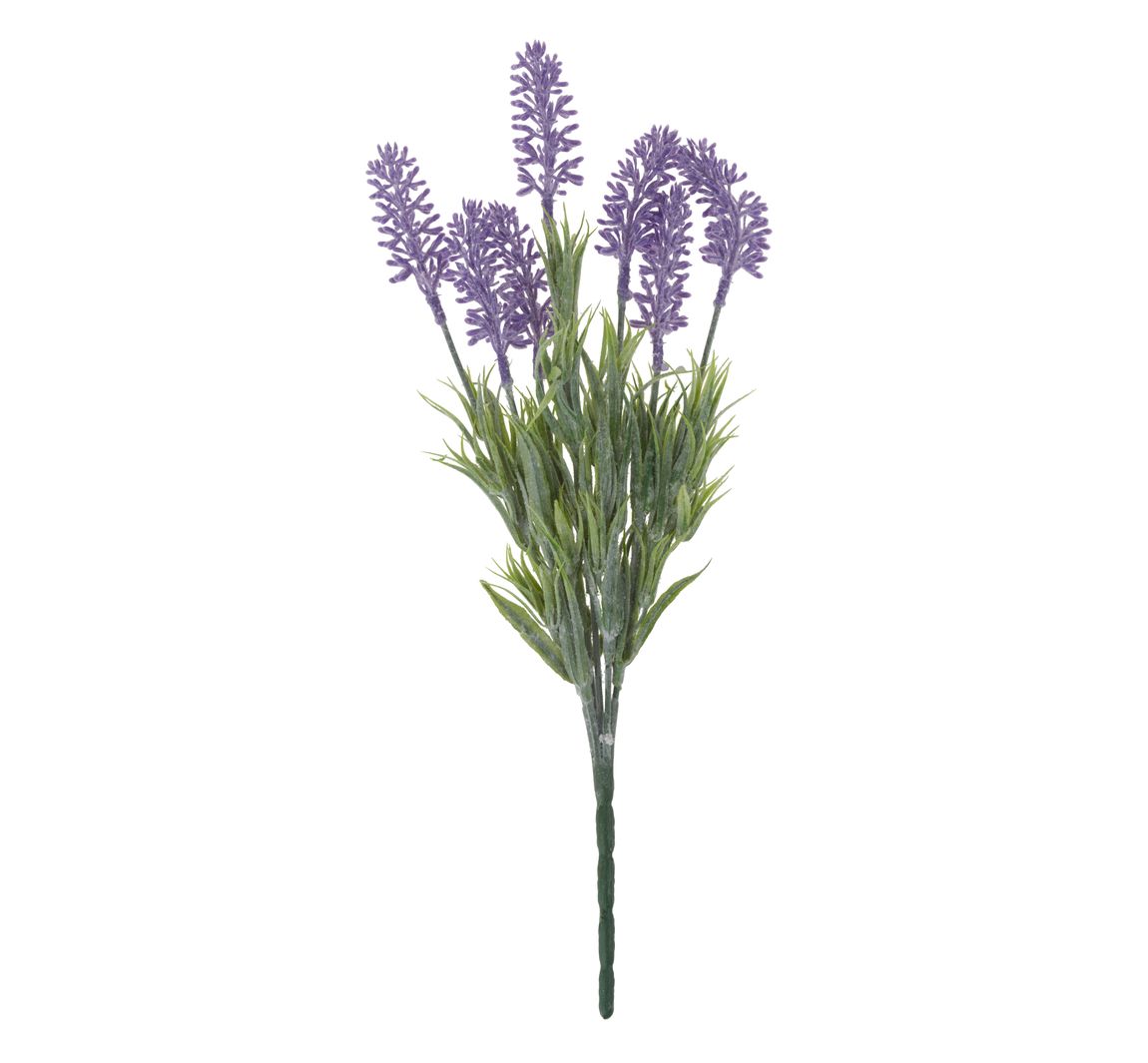 VBS Lavendel-Pick "Lavendula"