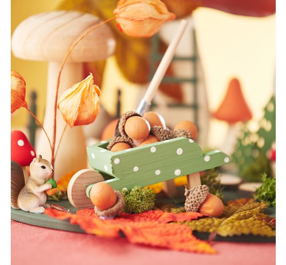 VBS Islandmoos, 100 g