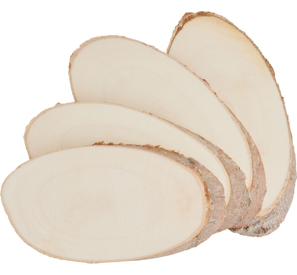 VBS Rindenscheiben "Oval"