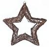 VBS Willow Star