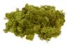 VBS Iceland moss, 100 g