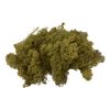 VBS Iceland moss, 100 g Green