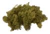 VBS Iceland moss, 100 g
