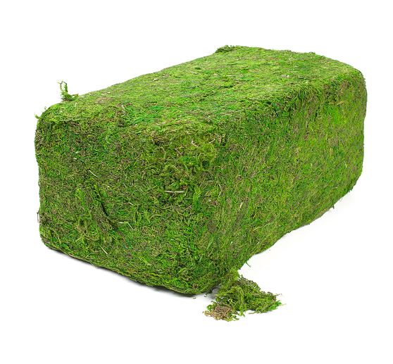 VBS Moos, 1 kg