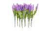 10 Lavendel-Picks "Lavendula", VBS Großhandelspackung