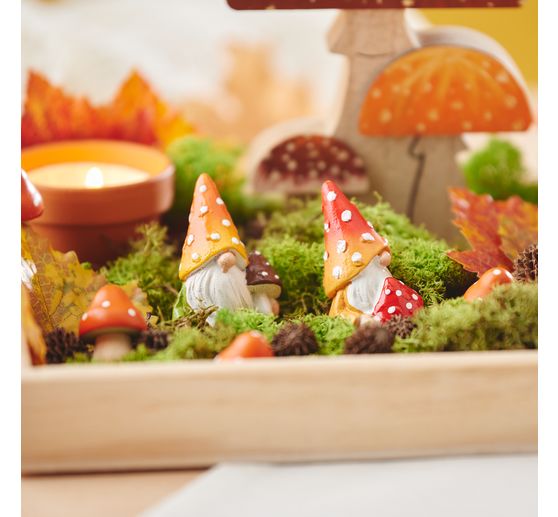 Iceland moss, 400 g