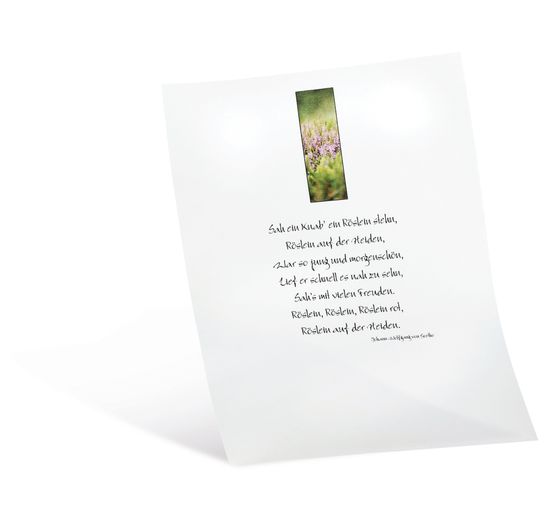 Transparentpapier, 10 Blatt