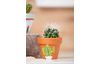 Stempel-Set "Cactus"