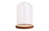 VBS Decorative glass bell jar with base,