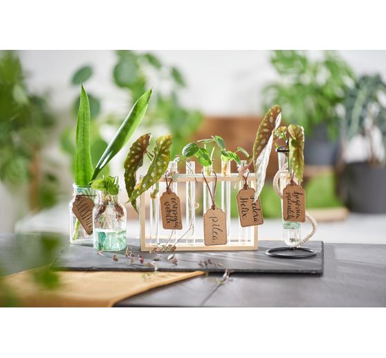 Napkin "Urban Jungle"