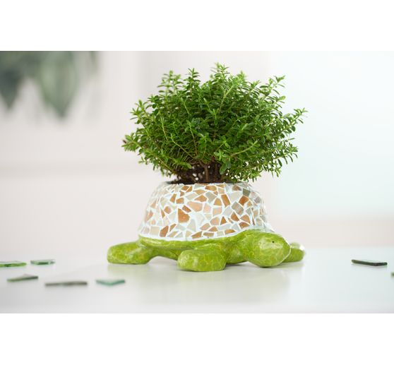 Blumentopf "Schildkröte", Pappmaché, wasserdicht