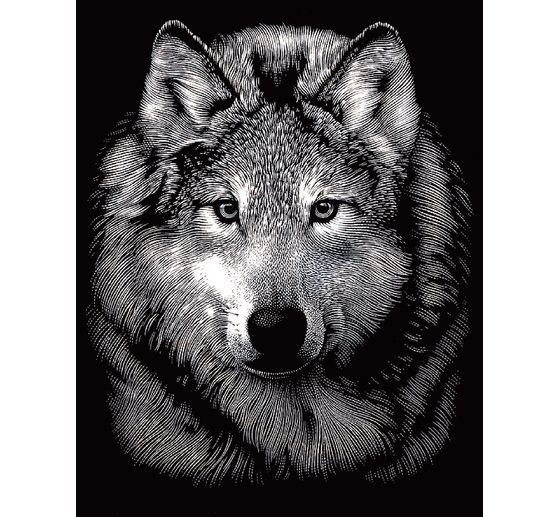 Kratzbild "Wolf"