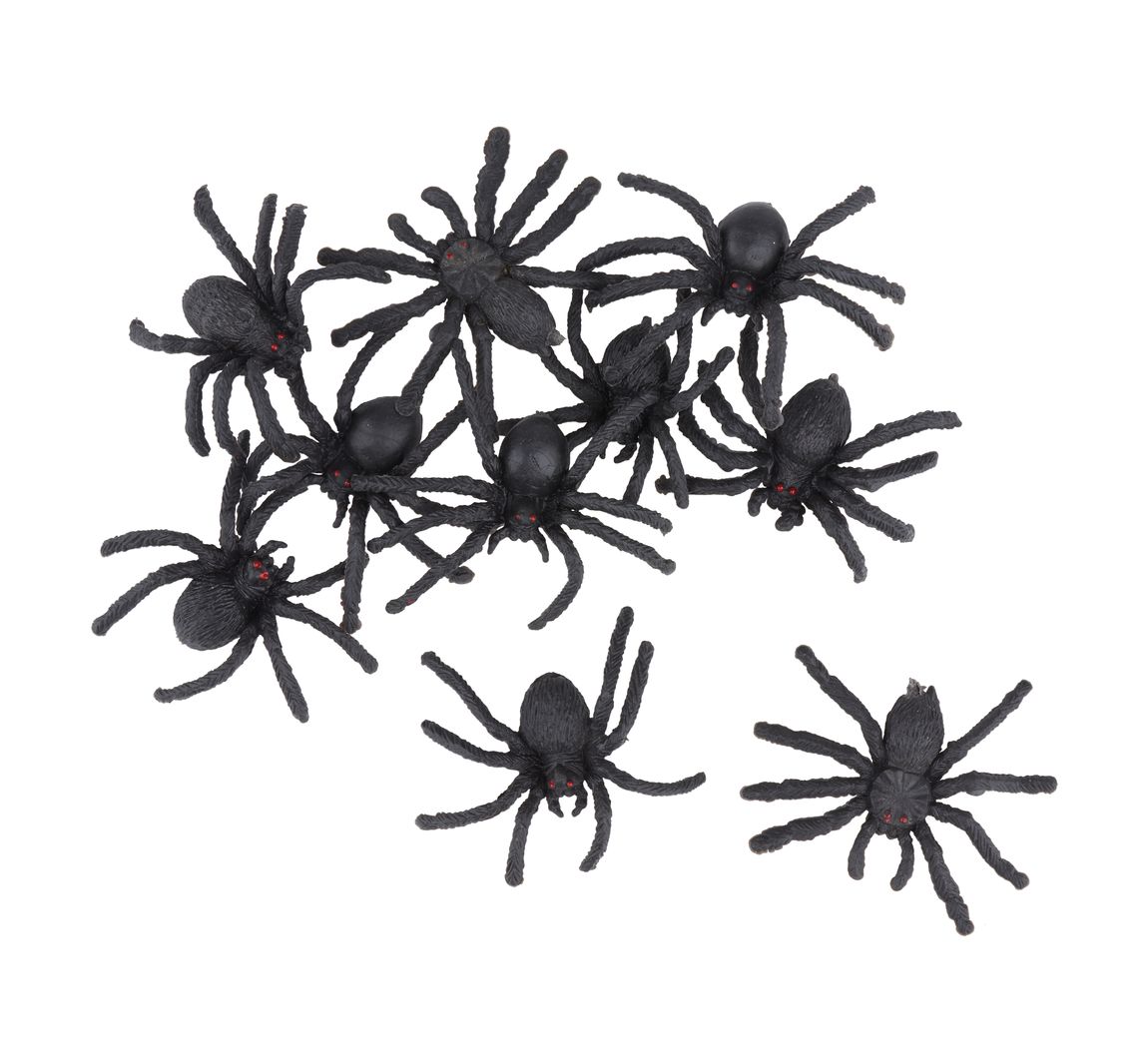 Halloween Spinne