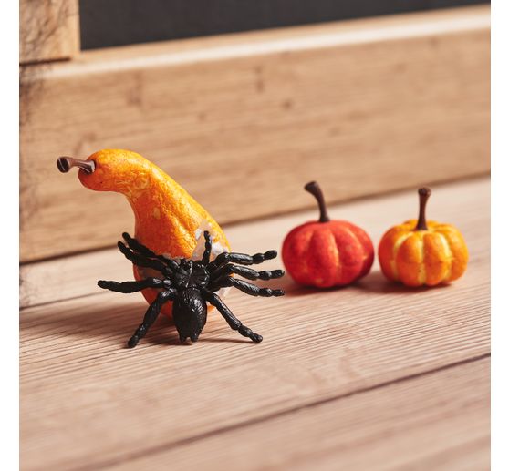 Halloween Spinne